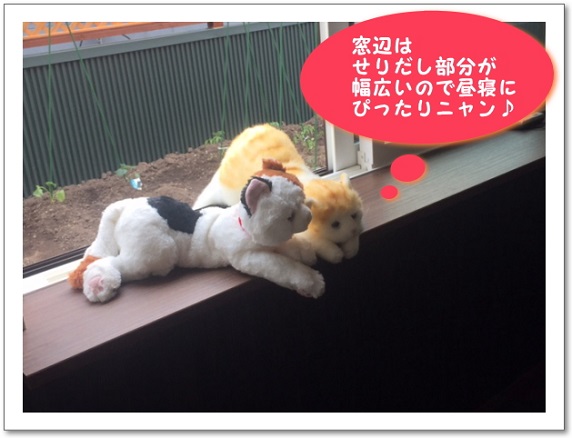 にゃんこ！ハウス