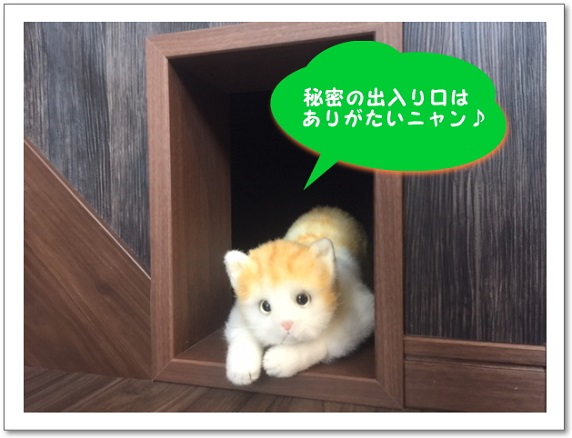 にゃんこ！ハウス