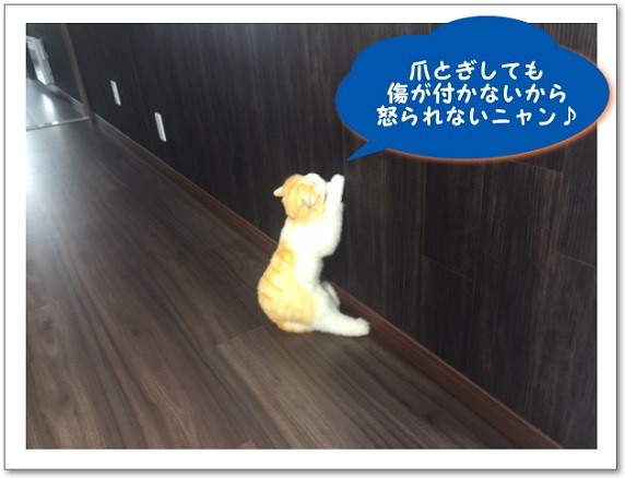 にゃんこ！ハウス