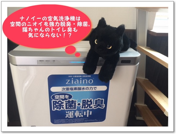 にゃんこ！ハウス