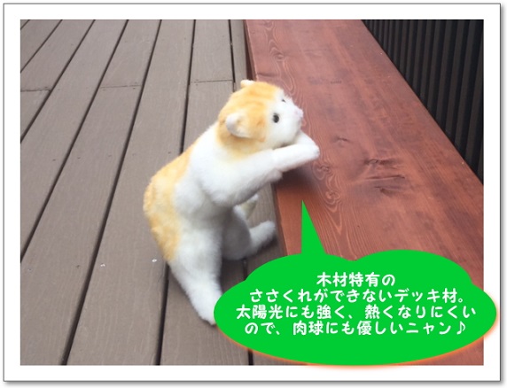 にゃんこ！ハウス