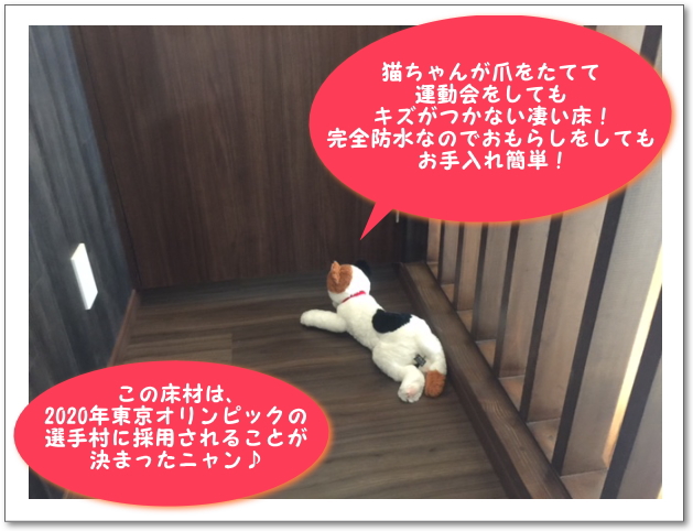 にゃんこ！ハウス